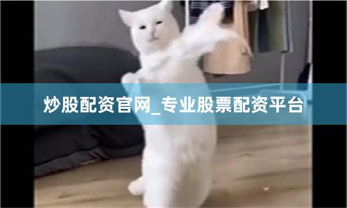 炒股配资官网_专业股票配资平台
